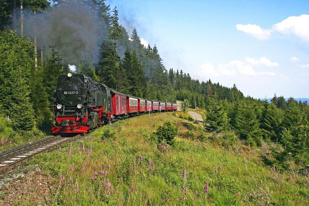 Ringhotel Weisser Hirsch Wernigerode Exteriér fotografie